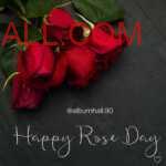 5 Red Roses lying on black table with Happy Rose Day note on it