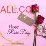 Dark Pink two roses bundled with red ribbon on pink color card wishing rose day