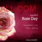 Big Pink Rose on a dark pink colored paper and rose day note for loved one