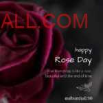Big blooming pink rose on black paper with Rose Day note