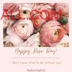 multiple light pink roses kept together lying around with "happy rose day" note