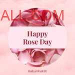 pink blooming roses petals kept in together with happy rose day note on white ribbon