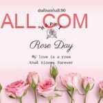 multiple light pink roses kept in line together on bottom of paper with lovely rose day wishes on it