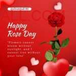 Big Red pink Hearts, Card and Rose with rose day note kept on red color card paper