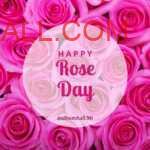 light pink blooming roses kept in cluster with happy rose day note on it