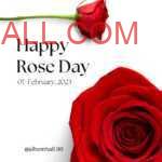 Big Red Rose on bottom of table and a red rose on top corner with happy rose day