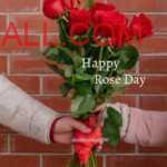 Couple hands holding bouquet of light red roses to wish on Rose Day