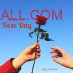 Man hand holding dark red rose & giving to his women on occasion of Rose Day