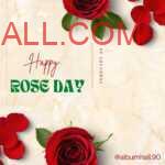 Rose petals and one big rose on top and bottom of card opposite side with light brown margins