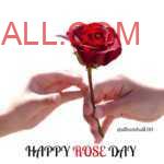 Man hand holding red rose & giving to his women on occasion of Rose Day during valentine week