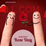 Couple one finger each with smileys drawn on them facing towards each other with red rose to wish rose day