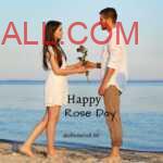 Man in white clothes giving red rose to his girlfriend on beach on rose day