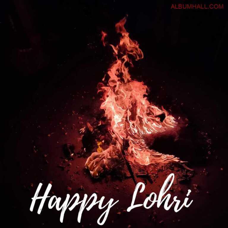 Logs burning with dry fruits and sweets lying around the flame after Lohri Pooja