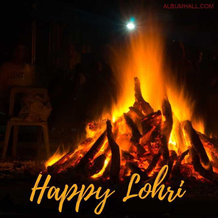 Logs burning with dry fruits and sweets lying around the flame during Lohri Pooja done by people around
