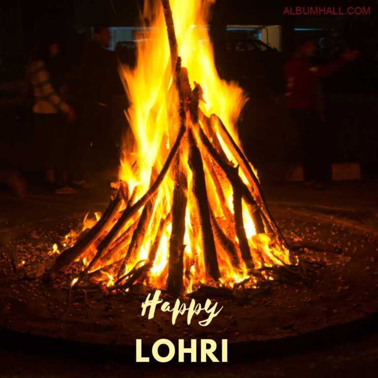 People celebrating Lohri by burning the long logs alongside dry fruits and sweets lying around