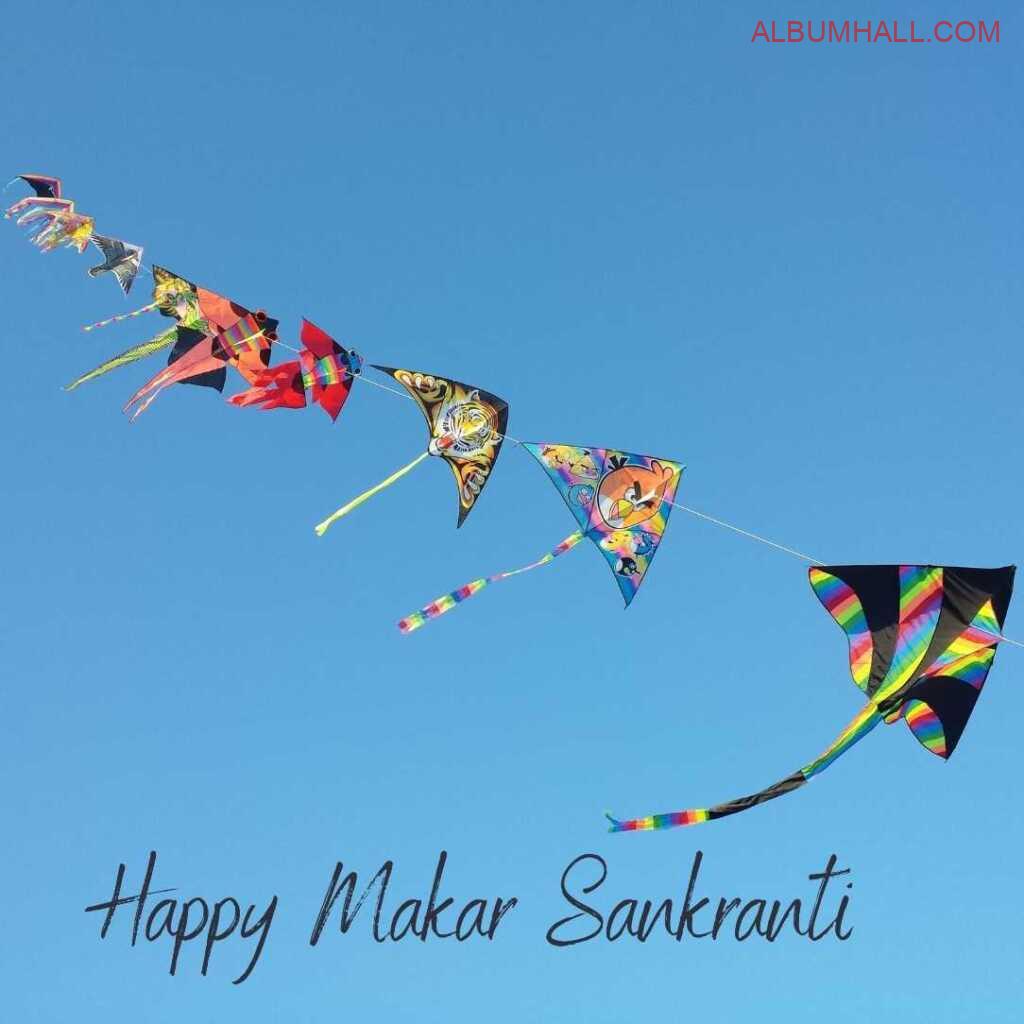 multiple colored kites attached to one white colored thread flying in the sky on Sankrant