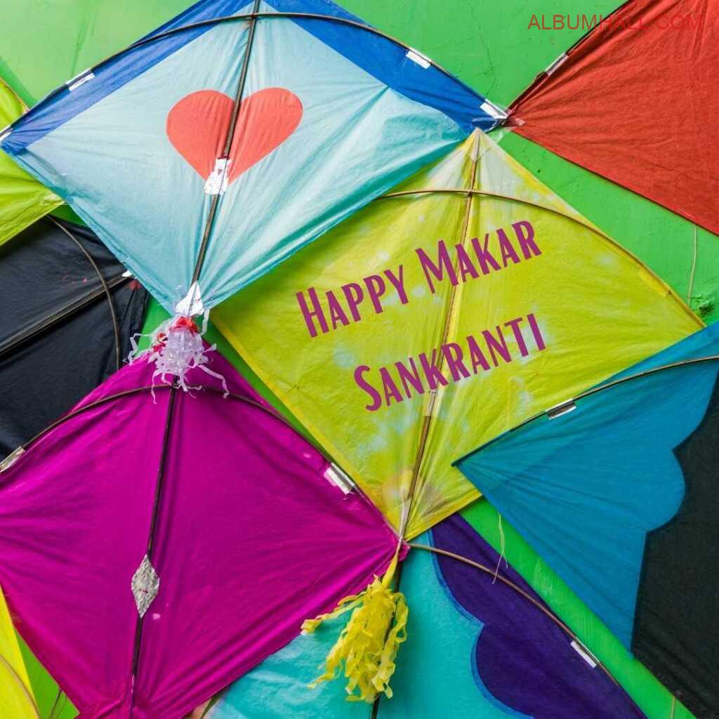 Sankrant kites lying around together