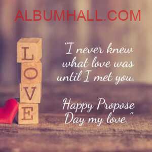 LOVE brown blocks and red heart with propose day quotes