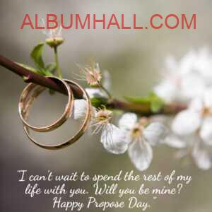 two golden plain rings on white flower branch with propose day quotes for love