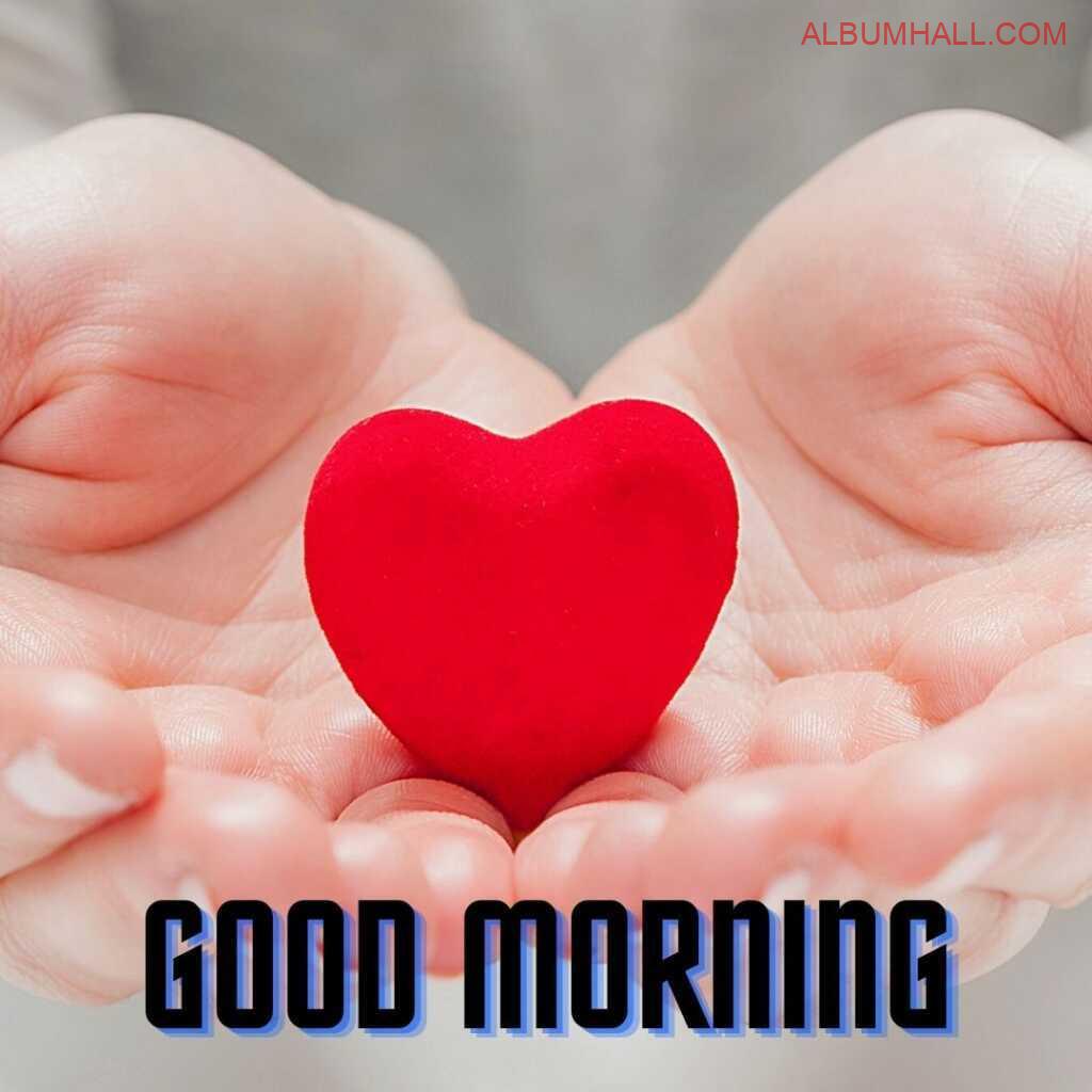 person holding a red heart in his hands wishing good morning