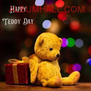 Happy Teddy Day my love