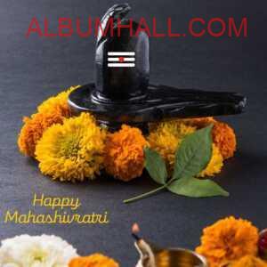 mahashivratri